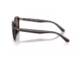 Ray-Ban RB 4459D 623173 54 Men, Women sunglasses