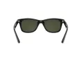 Ray-Ban RB 4640 601/31 50 Men, Women sunglasses