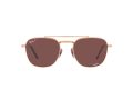 Ray-Ban Frank Ii Titanium RB 8258 3140/AF 54 Men, Women sunglasses