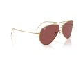 Ray-Ban Aviator Reverse RB R0101S 001/69 59 Men, Women sunglasses