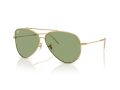 Ray-Ban Aviator Reverse RB R0101S 001/82 59 Men, Women sunglasses