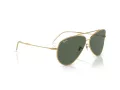 Ray-Ban Aviator Reverse RB R0101S 001/VR 62 Men, Women sunglasses
