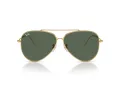 Ray-Ban Aviator Reverse RB R0101S 001/VR 62 Men, Women sunglasses