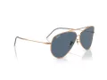 Ray-Ban Aviator Reverse RB R0101S 92023A 59 Men, Women sunglasses