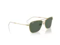 Ray-Ban Caravan Reverse RB 0RBR0102S 001/VR 58 Men, Women sunglasses