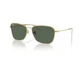 Ray-Ban Caravan Reverse RB 0RBR0102S 001/VR 58 Men, Women sunglasses