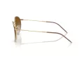 Ray-Ban Round Reverse RB R0103S 001/CB 53 Men, Women sunglasses