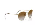 Ray-Ban Round Reverse RB R0103S 001/CB 55 Men, Women sunglasses