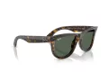 Ray-Ban Wayfarer Reverse RB R0502S 6790VR 53 Men, Women sunglasses