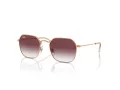 Ray-Ban RJ 9594S 291/8H 49 Children sunglasses