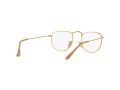 Ray-Ban Elon RX 3958V 3086 47 Men, Women glasses