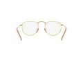 Ray-Ban Elon 3958V 3086 50 Men, Women glasses