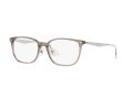 Ray-Ban 5403D 8274 52 Men, Women glasses