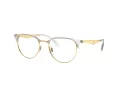 Ray-Ban RX 6396 5762 53 Men, Women glasses