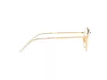 Ray-Ban Rob RX 6472 2500 50 Men, Women glasses