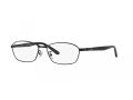 Ray-Ban RX 6502D 2503 55 Men glasses