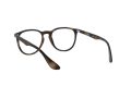 Ray-Ban Erika 7046 5365 51 Women glasses