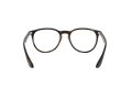 Ray-Ban Erika 7046 5365 51 Women glasses