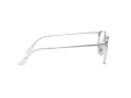 Ray-Ban RX 7164 2001 52 Men, Women glasses