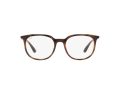 Ray-Ban RX 7190 2012 53 Men, Women glasses