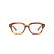 Ray-Ban Erik RX 7215 2144 51 Men, Women glasses