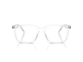 Ray-Ban Alain RX 7239 2001 52 Men, Women glasses