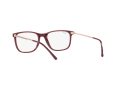Ray-Ban RX 7244 8099 53 Men, Women glasses