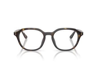 Ray-Ban RX 7259D 2012 52 Men glasses
