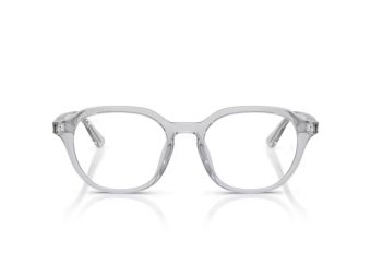 Ray-Ban RX 7259D 8411 52 Men glasses