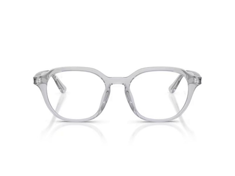 Ray-Ban RX 7259D 8411 52 Men glasses
