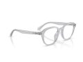 Ray-Ban RX 7259D 8411 52 Men glasses
