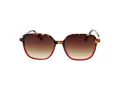Replay RY 468V 03S 55 Women sunglasses
