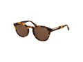 Superdry SDS 5012 102 52 Men, Women sunglasses