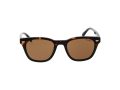Superdry SDS 5043 102 50 Men sunglasses