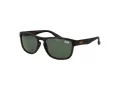 Superdry SDS Rockstar 122 54 Men, Women sunglasses