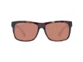 Serengeti Positano SER 8371-AU 56 Men, Women sunglasses