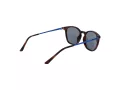 Skechers SE 6283 52D 50 Men sunglasses