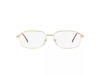 Sferoflex SF 2086 108 52 Men glasses