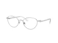 Swarovski SK 1002 4001 53 Women glasses