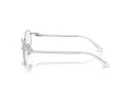 Swarovski SK 1002 4001 53 Women glasses