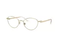 Swarovski SK 1002 4004 51 Women glasses