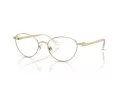 Swarovski SK 1002 4004 51 Women glasses