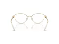 Swarovski SK 1002 4004 53 Women glasses