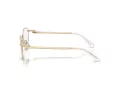 Swarovski SK 1002 4004 53 Women glasses