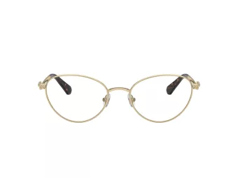 Swarovski SK 1002 4013 53 Women glasses