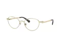 Swarovski SK 1002 4013 53 Women glasses