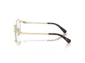 Swarovski SK 1002 4013 53 Women glasses