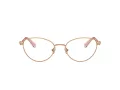 Swarovski SK 1002 4014 51 Women glasses