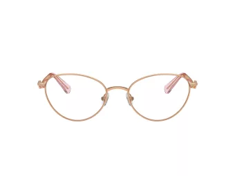 Swarovski SK 1002 4014 51 Women glasses