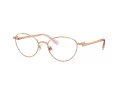 Swarovski SK 1002 4014 51 Women glasses